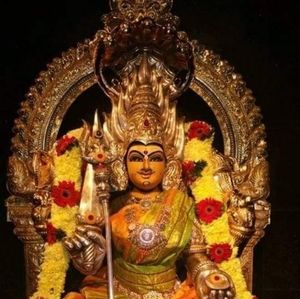 Meet your Posher, Shalini